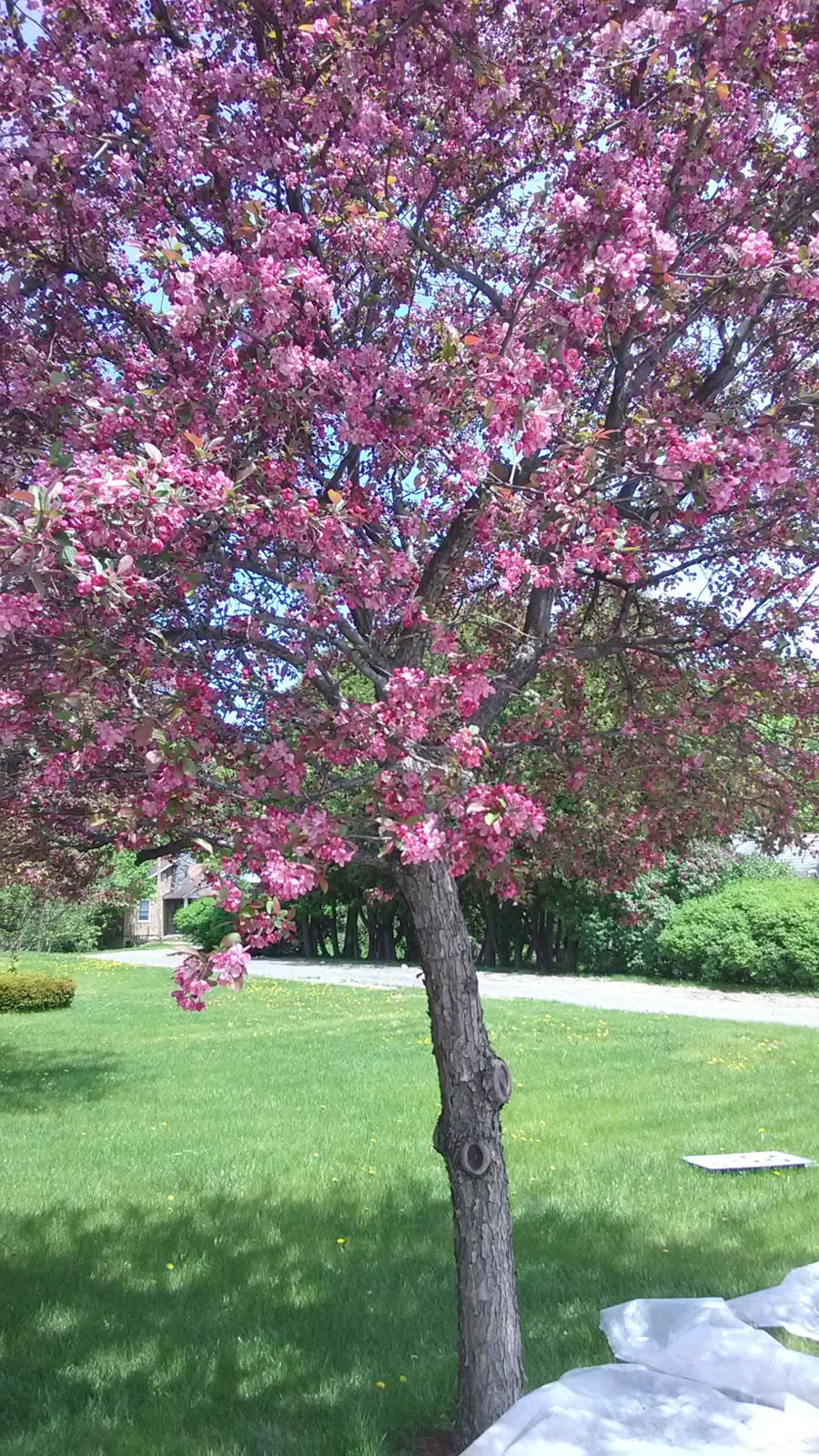 Photo The type of beauty of spring colors