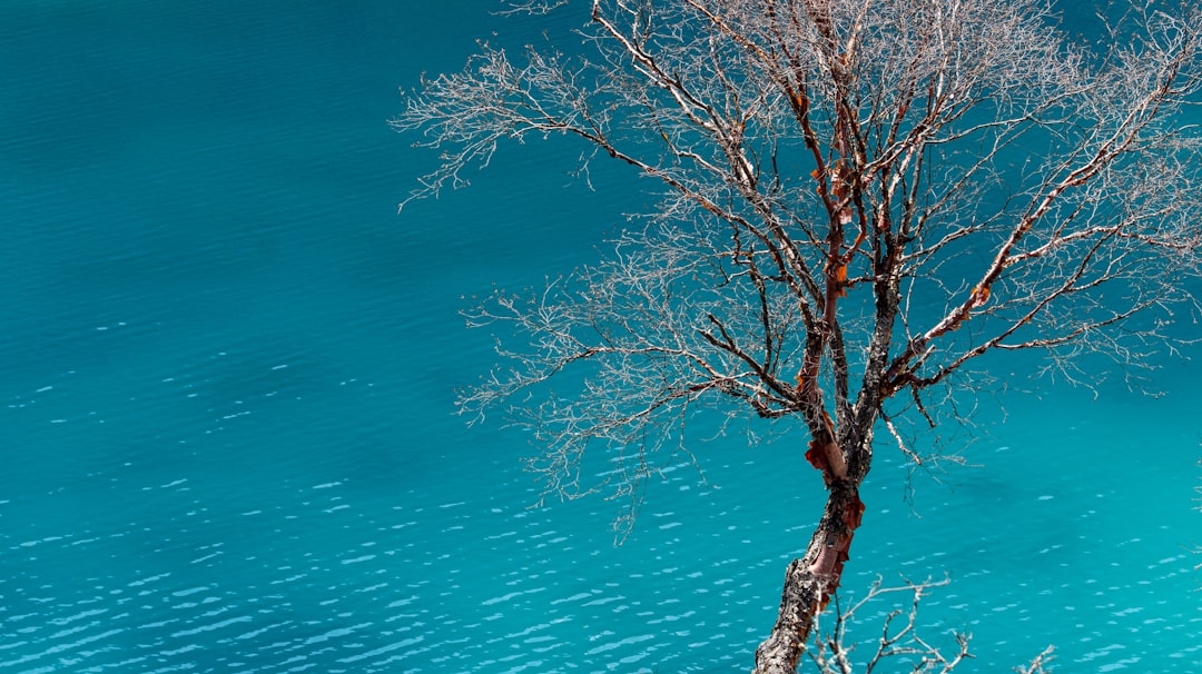 Photo turquoise color
