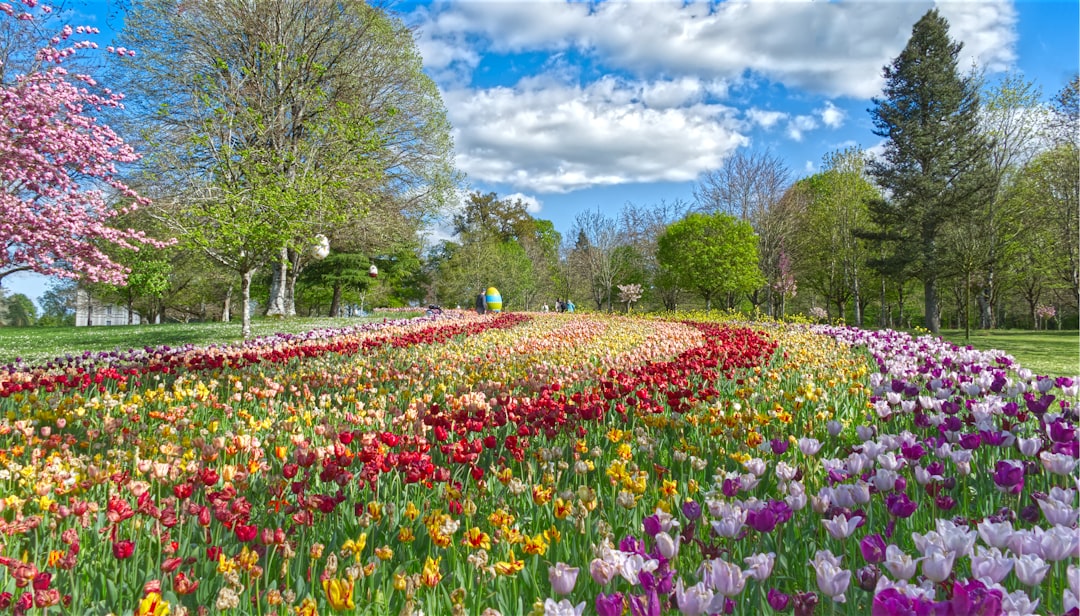 Photo spring colors